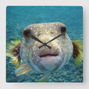 ***PUFFER FISH** FUN CLOCK VIERKANTE KLOK