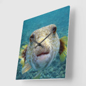 ***PUFFER FISH** FUN CLOCK VIERKANTE KLOK (Hoek)