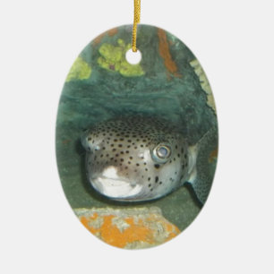 Puffer Fish Keramisch Ornament