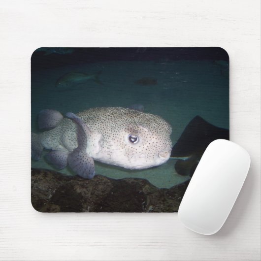 Puffer fish mousepad muismat (Met muis)