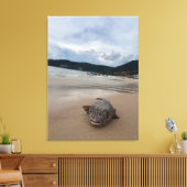 Puffer vis op het strand bij Phuket fotografie Canvas Afdruk (Insitu (Woonkamer))