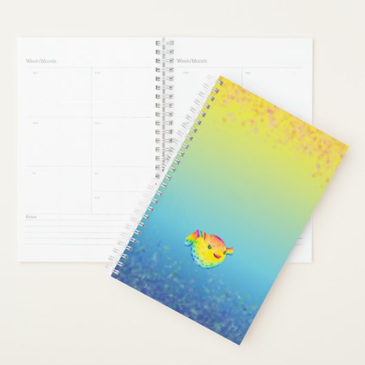 Puffer-vis Planner (Display)