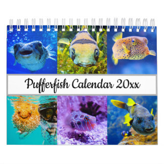 Puffervis Kalender
