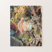 Puffervis Legpuzzel (Verticaal)