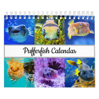 Pufferviskalender Kalender