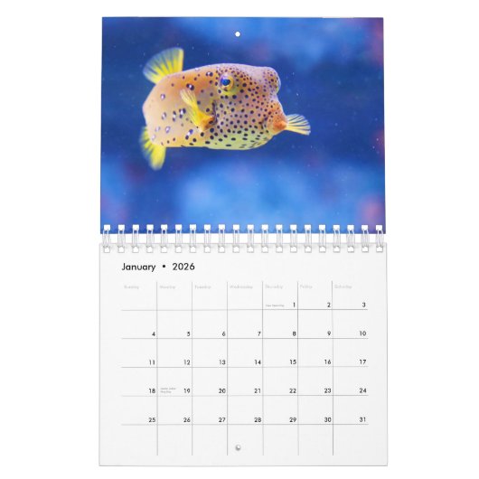 Pufferviskalender Kalender (Jan 2026)