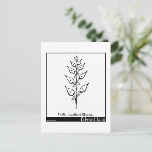 Puffia Leatherbellowsa Briefkaart (Staand voorkant)