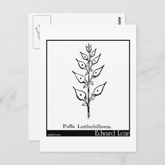 Puffia Leatherbellowsa Briefkaart (Voorkant / Achterkant)