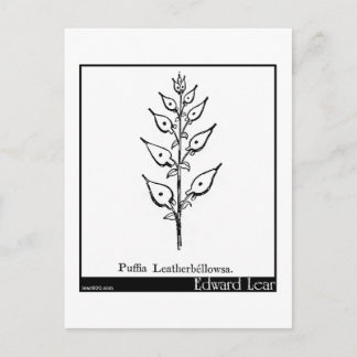 Puffia Leatherbellowsa Briefkaart