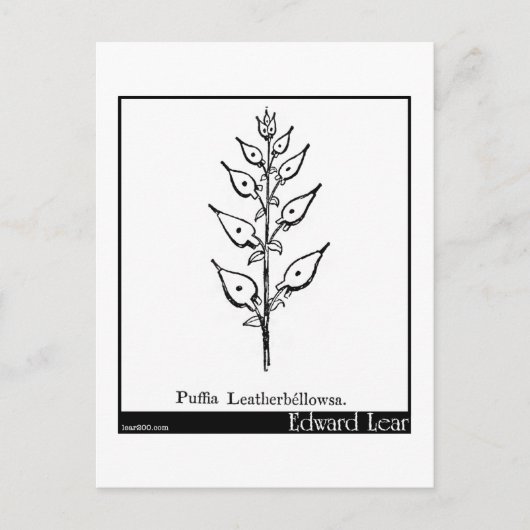 Puffia Leatherbellowsa Briefkaart (Voorkant)