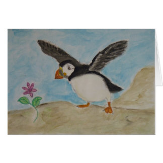 puffin