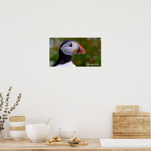 Puffin-afbeelding voor Poster (Keuken)