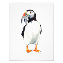 Puffin-afdruk