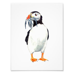 Puffin-afdruk Foto Afdruk