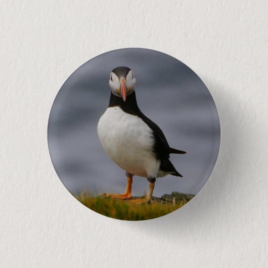 Puffin Badge Ronde Button 3,2 Cm (Voorkant)