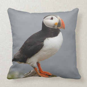 Puffin Bird Antarctic Natuur Kussen