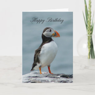 Puffin Birthday wenskaart Kaart