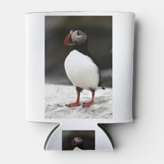 Puffin. Blikjeskoeler