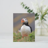 Puffin Briefkaart (Staand voorkant)
