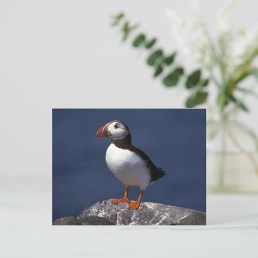 Puffin Briefkaart (Staand voorkant)