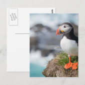 Puffin Briefkaart (Voorkant / Achterkant)