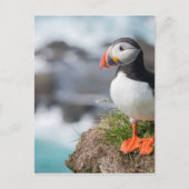 Puffin Briefkaart (Voorkant)