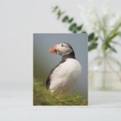 Puffin-briefkaart Briefkaart (Staand voorkant)