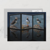 Puffin-Briefkaart Briefkaart (Voorkant / Achterkant)
