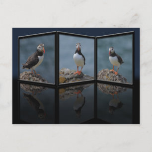 Puffin-Briefkaart Briefkaart