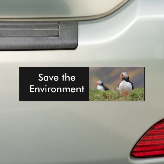Puffin Bumpersticker (Op auto)