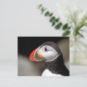 Puffin Close-up Foto Briefkaart (Staand voorkant)