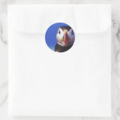 Puffin close-up ronde sticker (Tas)