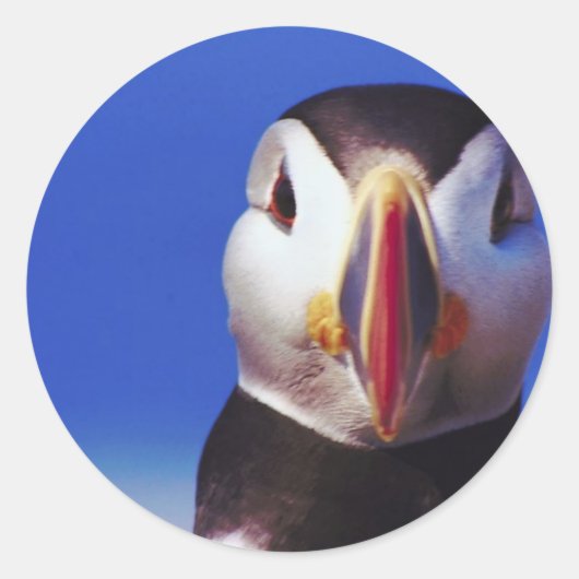 Puffin close-up ronde sticker (Voorkant)