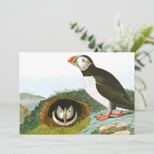 Puffin door John James Audubon Bedankkaart (Staand voorkant)