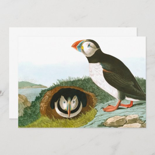 Puffin door John James Audubon Bedankkaart (Voorkant / Achterkant)
