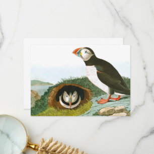 Puffin door John James Audubon Bedankkaart