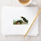 Puffin door John James Audubon Etiket (Insitu)