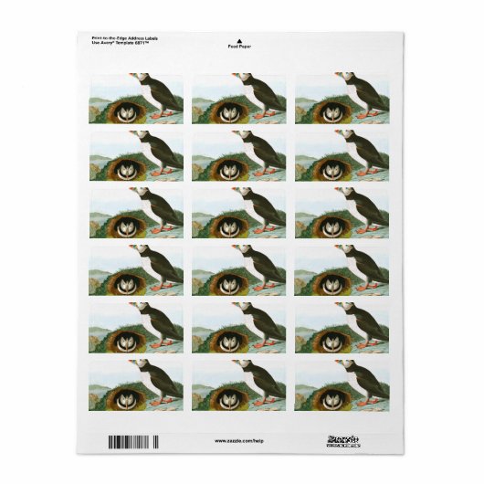 Puffin door John James Audubon Etiket (Full Sheet)