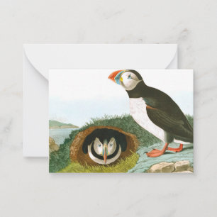 Puffin door John James Audubon Notitiekaartje