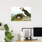 Puffin door John James Audubon Poster (Thuiskantoor)