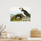 Puffin door John James Audubon Poster (Keuken)