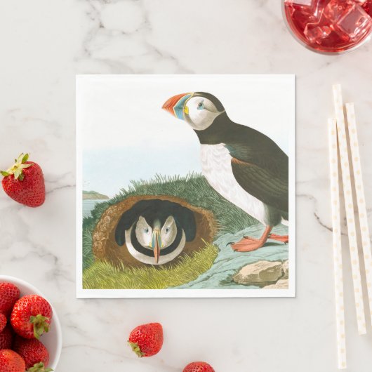 Puffin door John James Audubon Servet (Insitu)