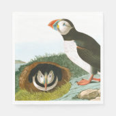 Puffin door John James Audubon Servet (Voorkant)