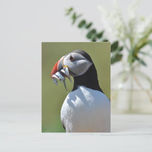 Puffin Fisherman Briefkaart (Staand voorkant)