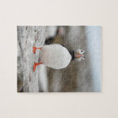 Puffin Foto: 8 x 10 inch Puzzle met Gift Box Legpuzzel (Horizontaal)