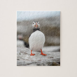 Puffin Foto: 8 x 10 inch Puzzle met Gift Box Legpuzzel
