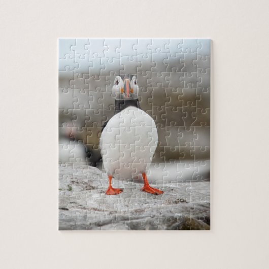 Puffin Foto: 8 x 10 inch Puzzle met Gift Box Legpuzzel (Verticaal)