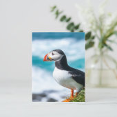 Puffin Fratercula arctica in Látrabjarg, IJsland. Briefkaart (Staand voorkant)