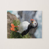 Puffin Fratercula arctica, Látrabjarg IJsland Legpuzzel (Horizontaal)