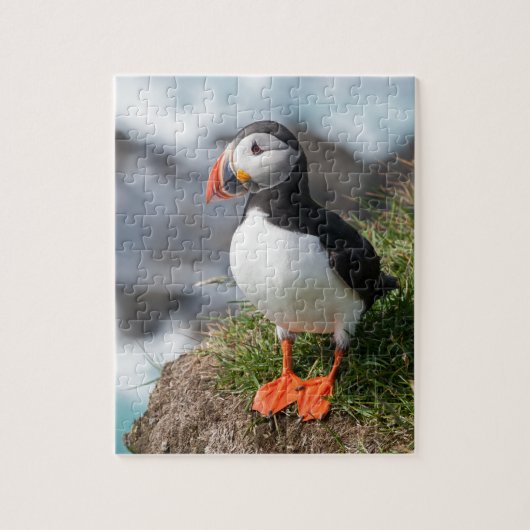 Puffin Fratercula arctica, Látrabjarg IJsland Legpuzzel (Verticaal)